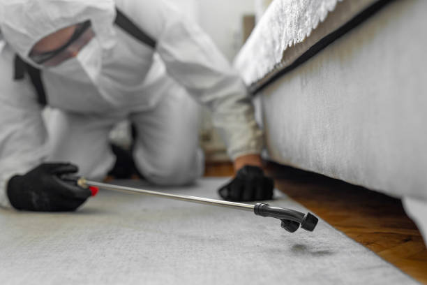 Professional Termite Control technician working in Harrisburg, SD