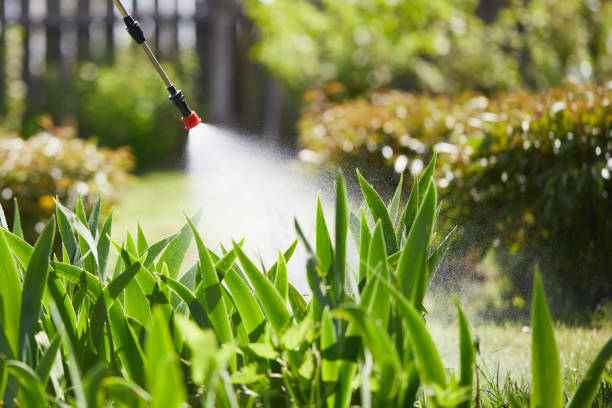24/7 Emergency Termite Control experts in Harrisburg, SD